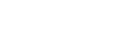 Director Institute